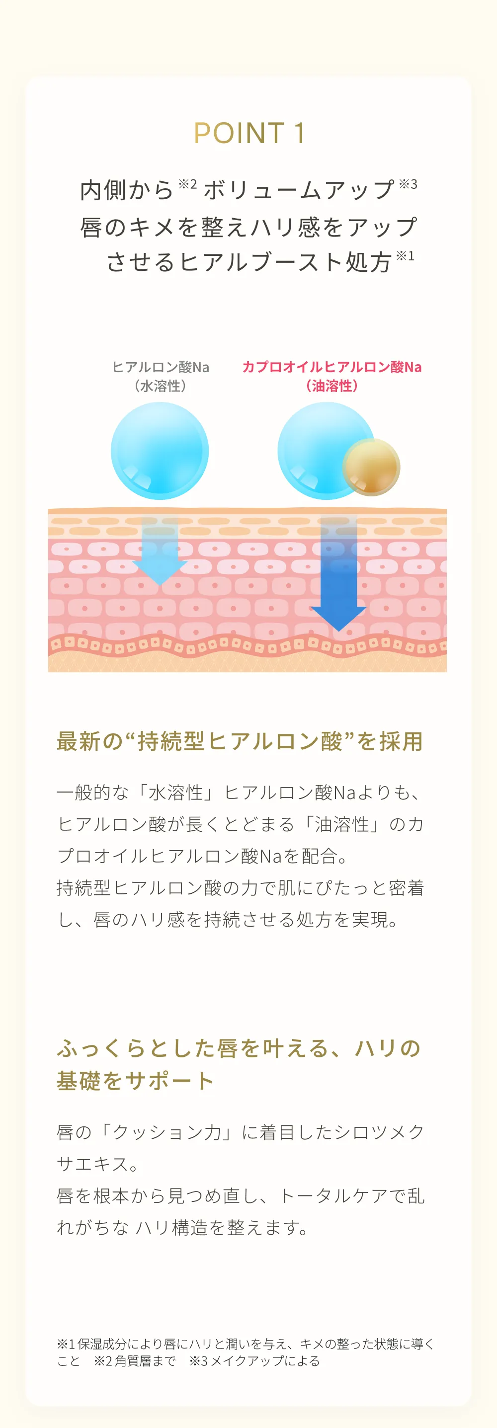 持続型ヒアルロン酸配合で唇にハリとボリューム感を与えるリップ美容液の仕組み図