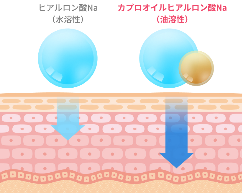 ヒアルロン酸の浸透イメージ