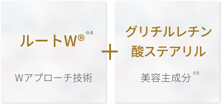 ルートW® + グリチルレチン酸ステアリル