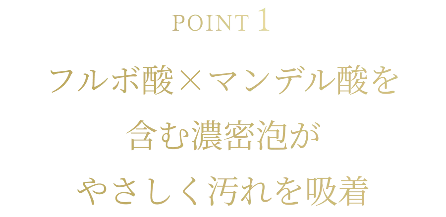 POINT1フルボ酸×マンデル酸を含む濃密泡がやさしく汚れを吸着