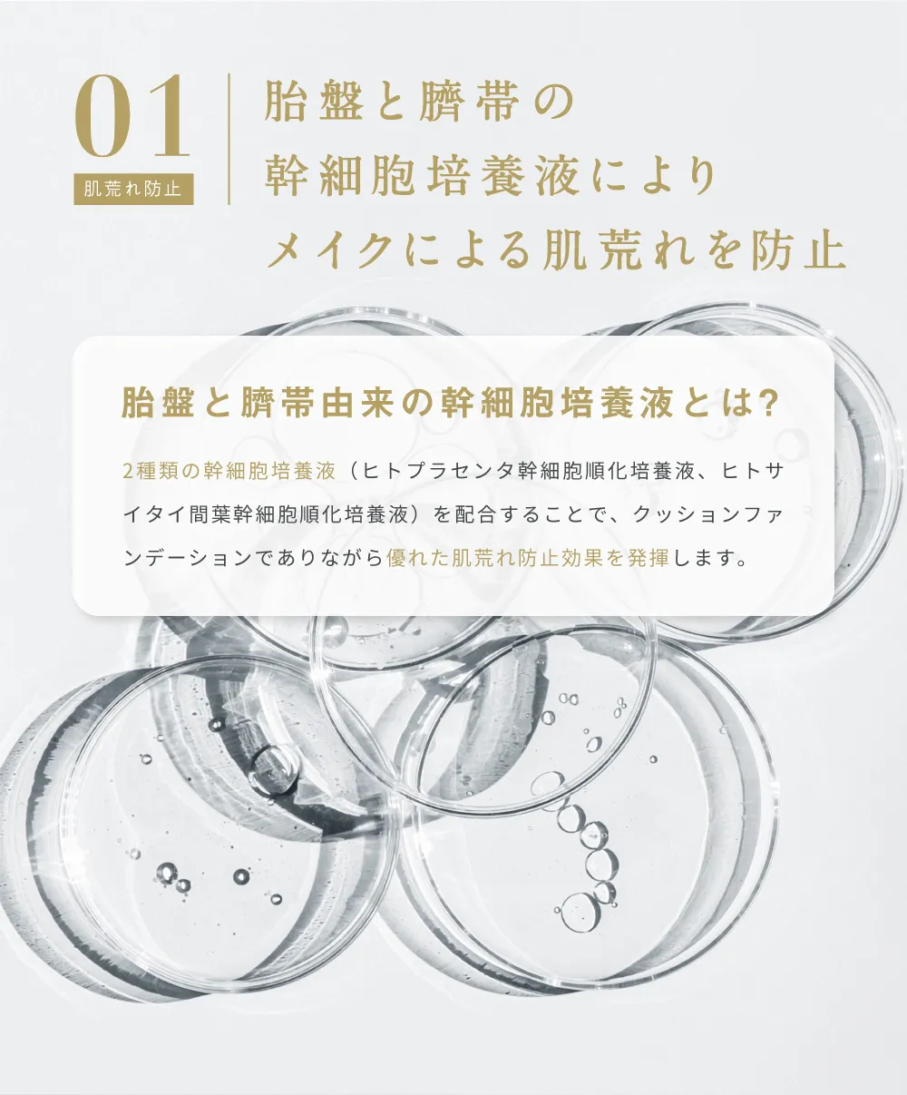 胎盤と臍帯由来の幹細胞培養液によりメイクによる肌荒れを防止する成分の説明
