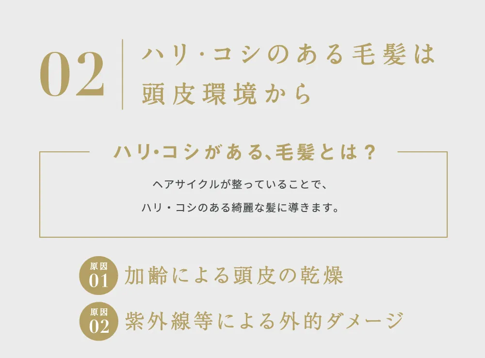 ハリ・コシのある髪に導くための頭皮環境と乾燥やダメージの関係
