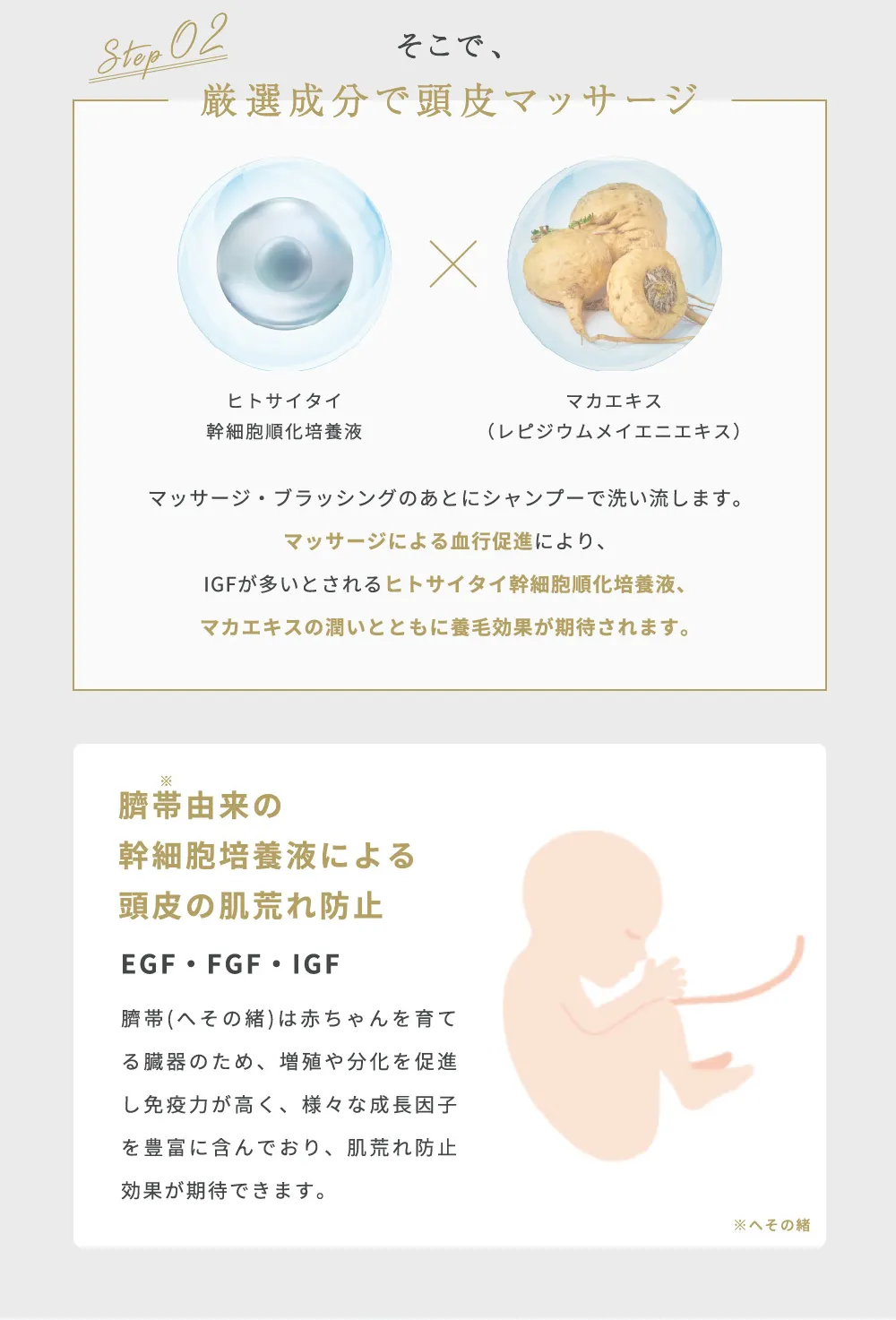 頭皮マッサージに使用する幹細胞培養液とマカエキスの配合成分