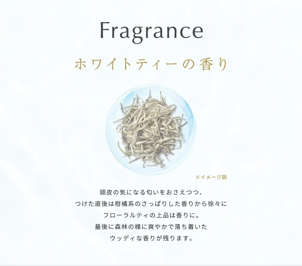 ホワイトティーの香りをイメージした香料原料
