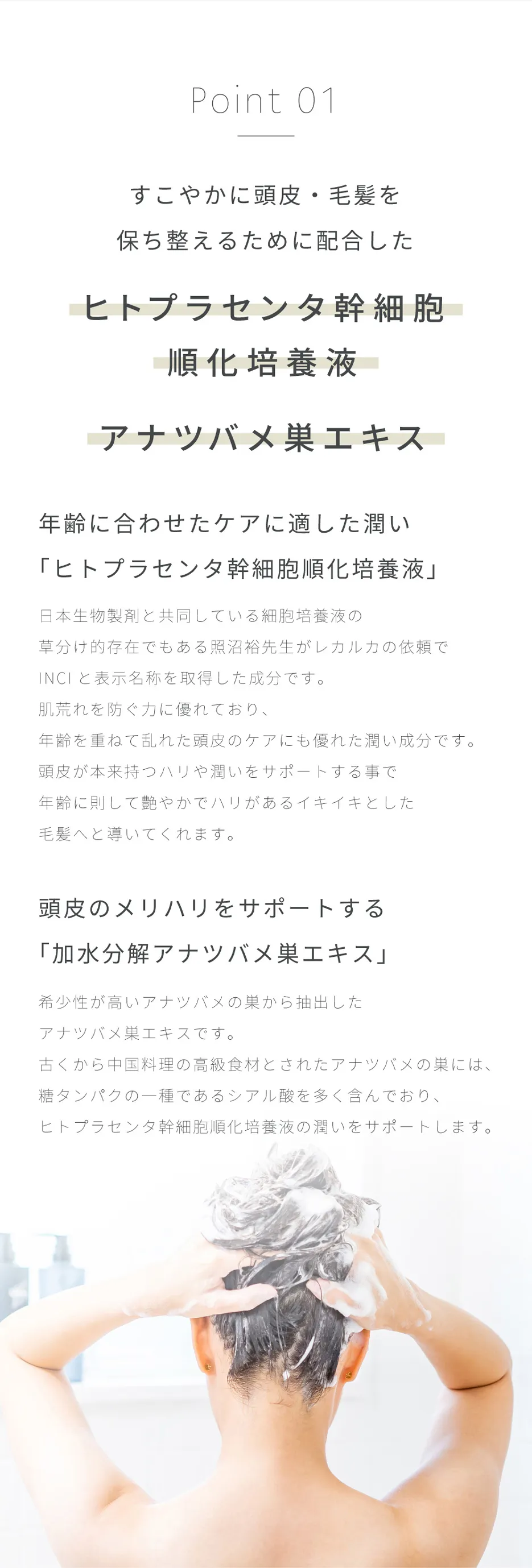 ヒトプラセンタ幹細胞培養液と加水分解アナツバメ巣エキス配合で頭皮と毛髪を健やかに整えるヘアケア成分イメージ