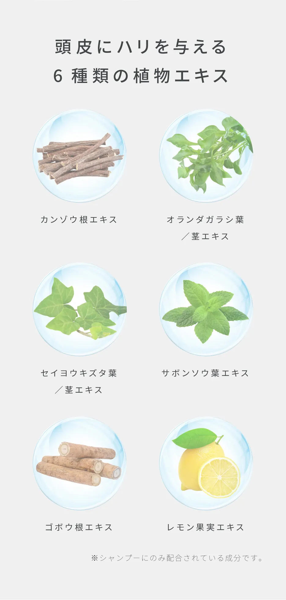 カンゾウ根やレモン果実など6種の植物エキスで頭皮にハリを与えるヘアケア成分一覧