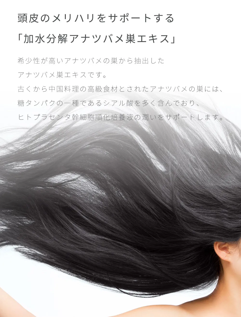 酒粕エキ加水分解アナツバメ巣エキスが頭皮のメリハリをサポートし潤いを与える成分の説明スや糖蜜成分でダメージ髪を補修しハリコシを与えるヘアケアイメージ