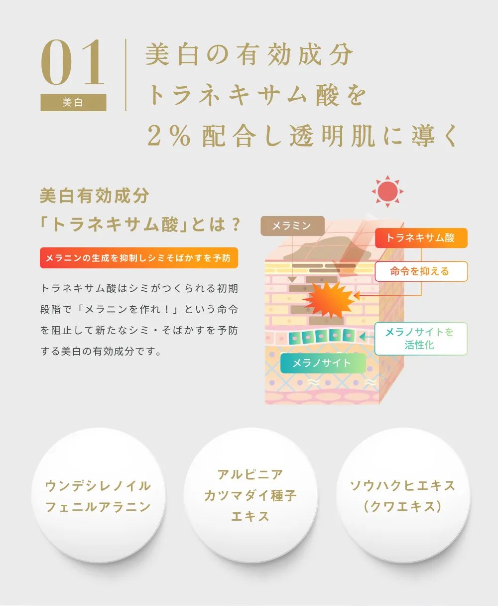 WHITE BASE – 【クリニック様向け】Lekarka | 株式会社レカルカ